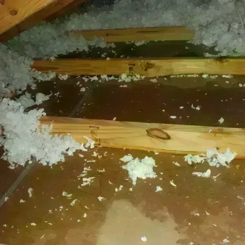 Attic Water Damage in Claremont, NC