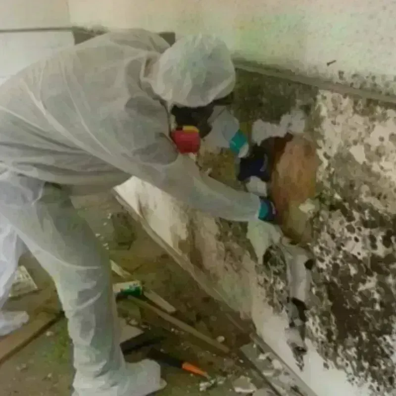 Mold Remediation and Removal in Claremont, NC