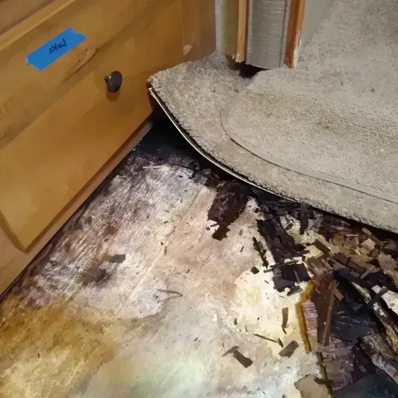 Wood Floor Water Damage in Claremont, NC